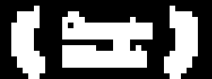 developer